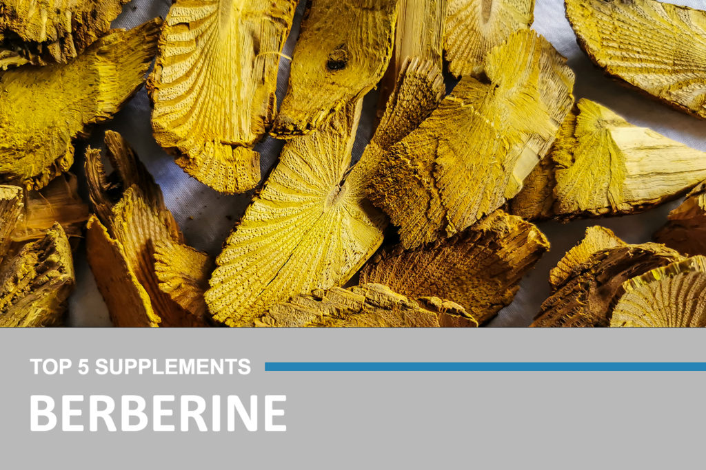 Top 5 BERBERINE Supplements 1024x683 